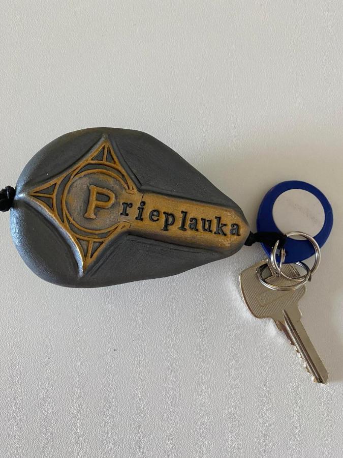 Ostello Rezidencija "Prieplauka" Alytus Esterno foto